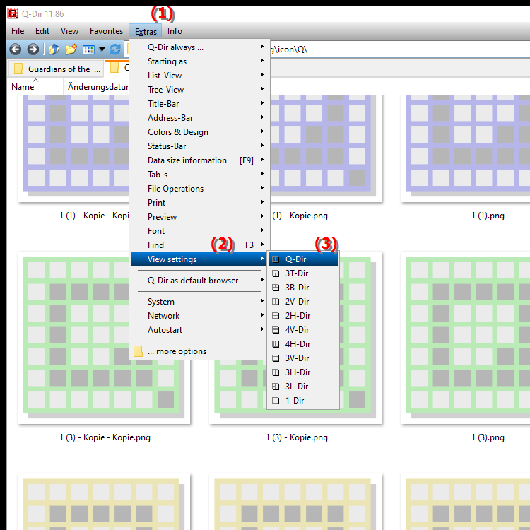 What is the Quad File Explorer Q Dir view on Windows